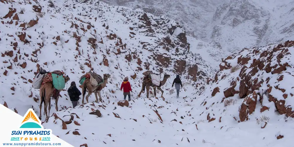 Winter in Egypt